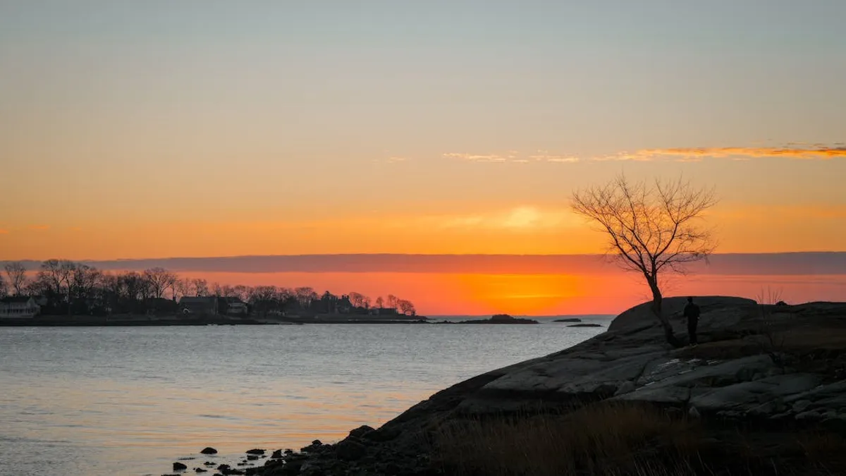 A tranquil coastal sunset with a lone tree and silhouette of a person on rocky shore.