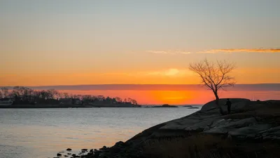 A tranquil coastal sunset with a lone tree and silhouette of a person on rocky shore.
