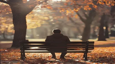 Person sitting on park bench in autumn light.