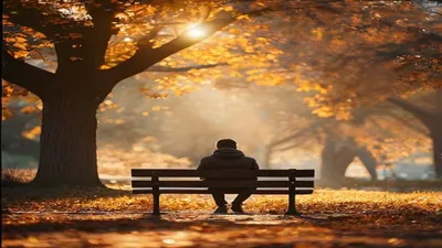 Person sitting on park bench in autumn light.