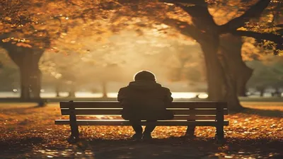 Person sitting on park bench in autumn light.