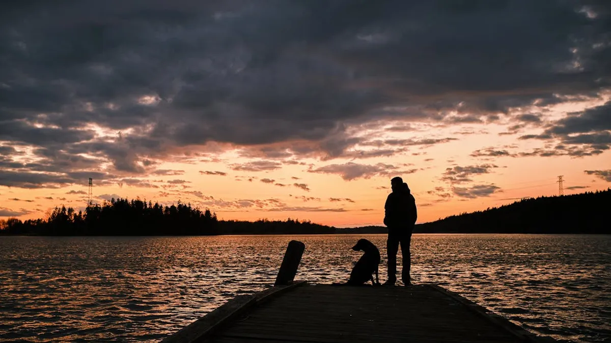 A serene scene of a man and his dog on a dock at sunset, showcasing companionship and tranquility.