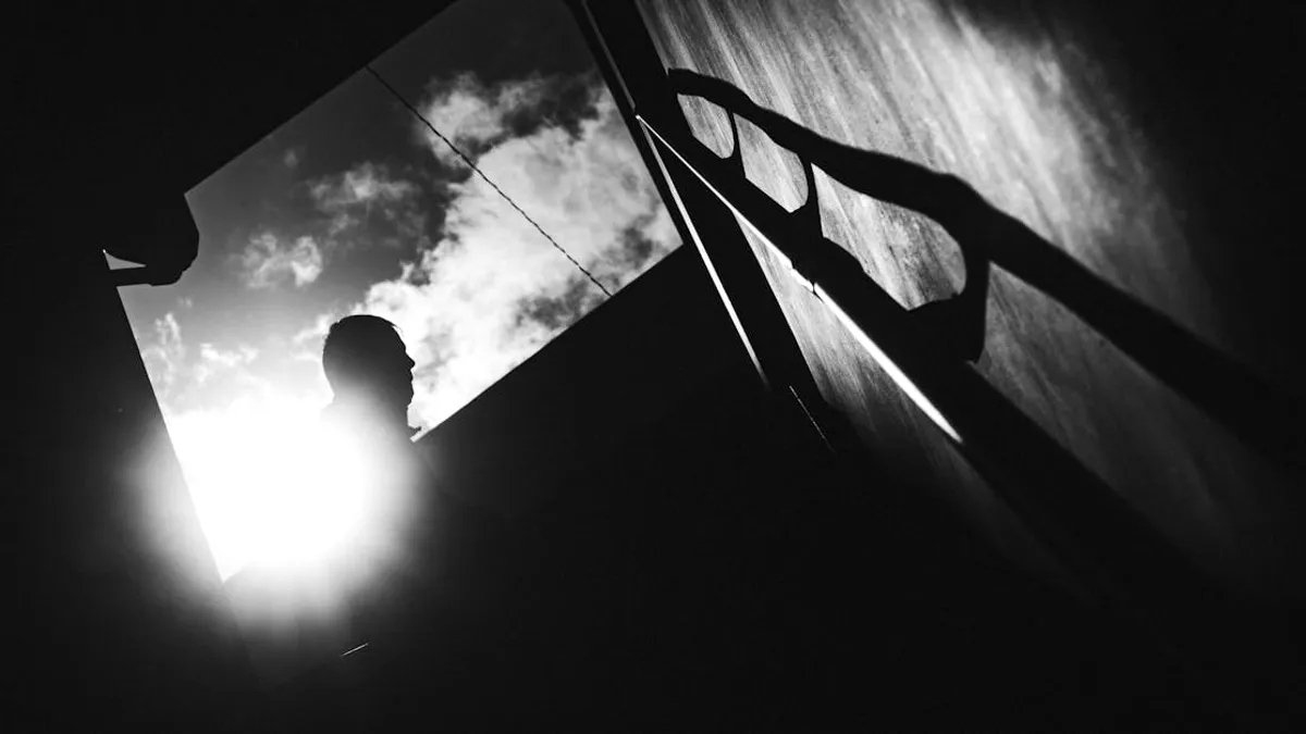 Silhouette of a person against the sun with dramatic shadows in black and white.