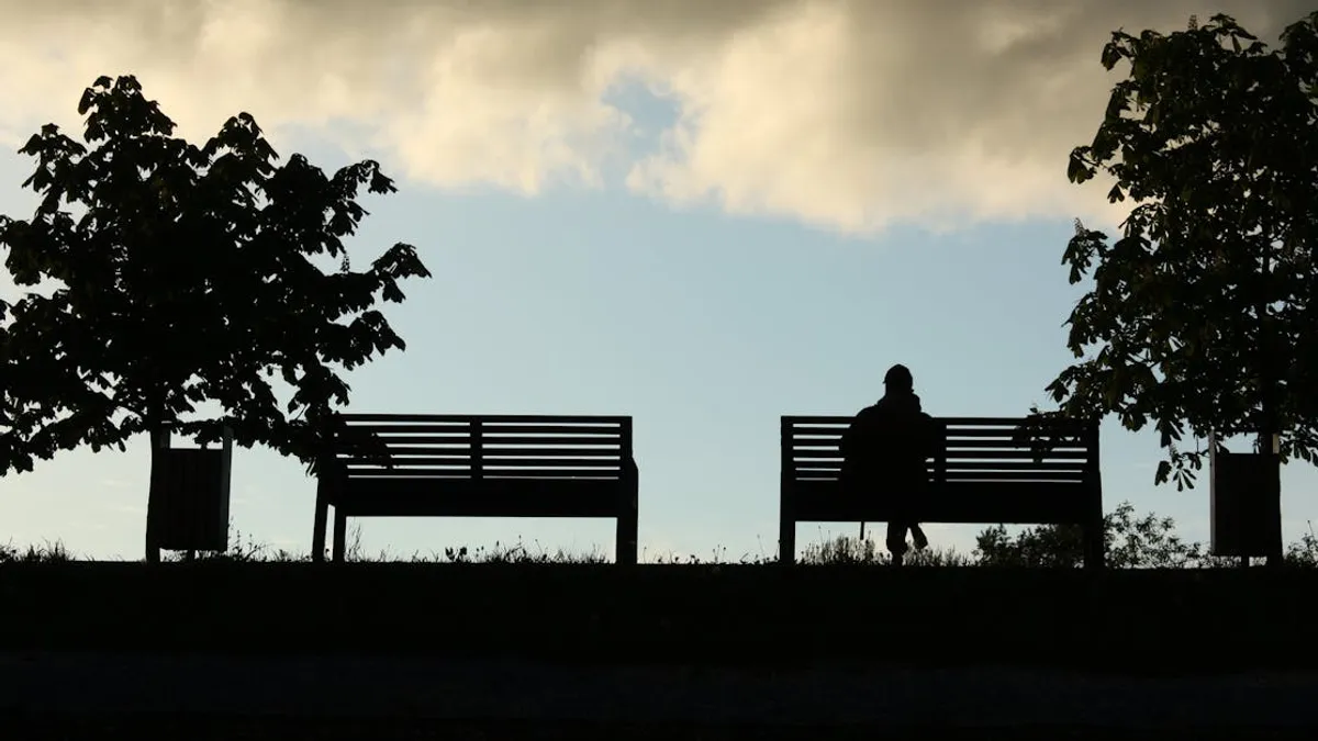 Silhouette of a person sitting on a bench under cloudy skies in a Moscow park at sunset.