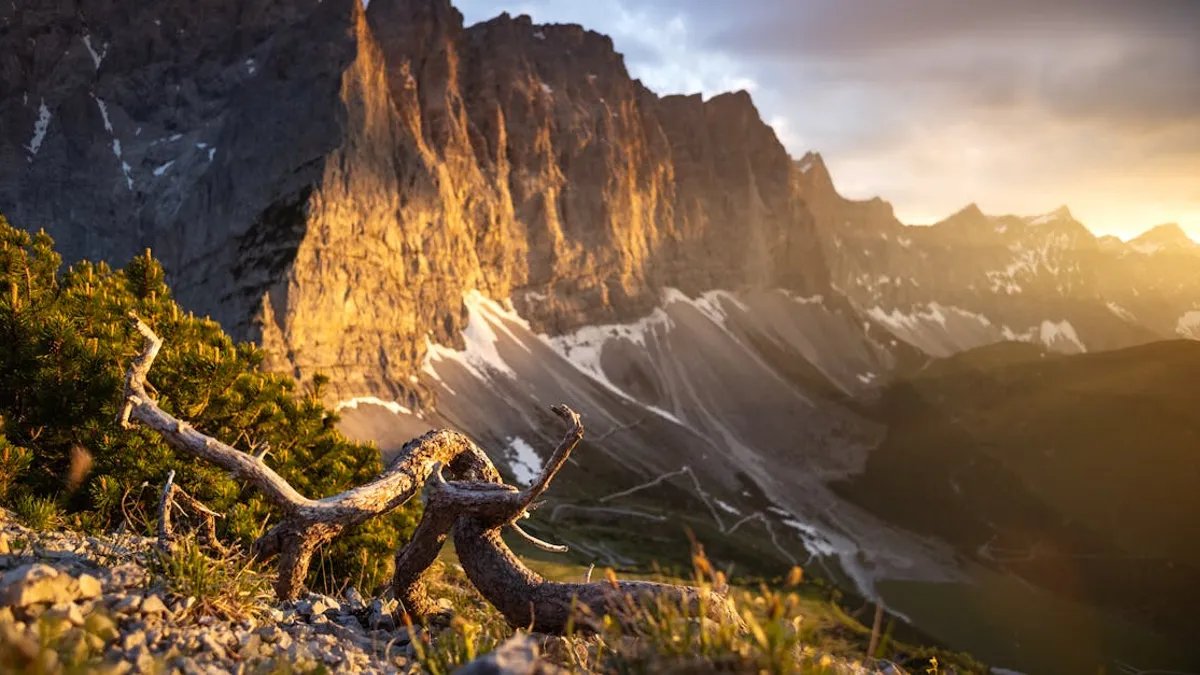 Golden hour light on rugged mountains and twisted tree at sunset.